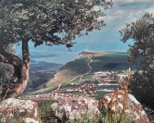 WhatsApp Image 2023-02-19 at 17.11.46