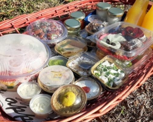 WhatsApp Image 2023-02-20 at 09.22.58