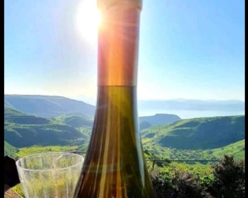 יין על הנוף