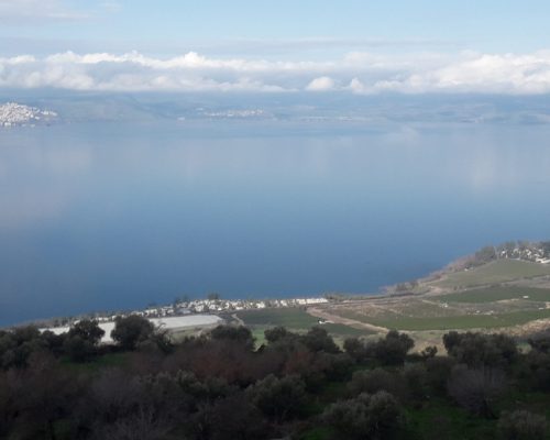 תמונה לפלייר